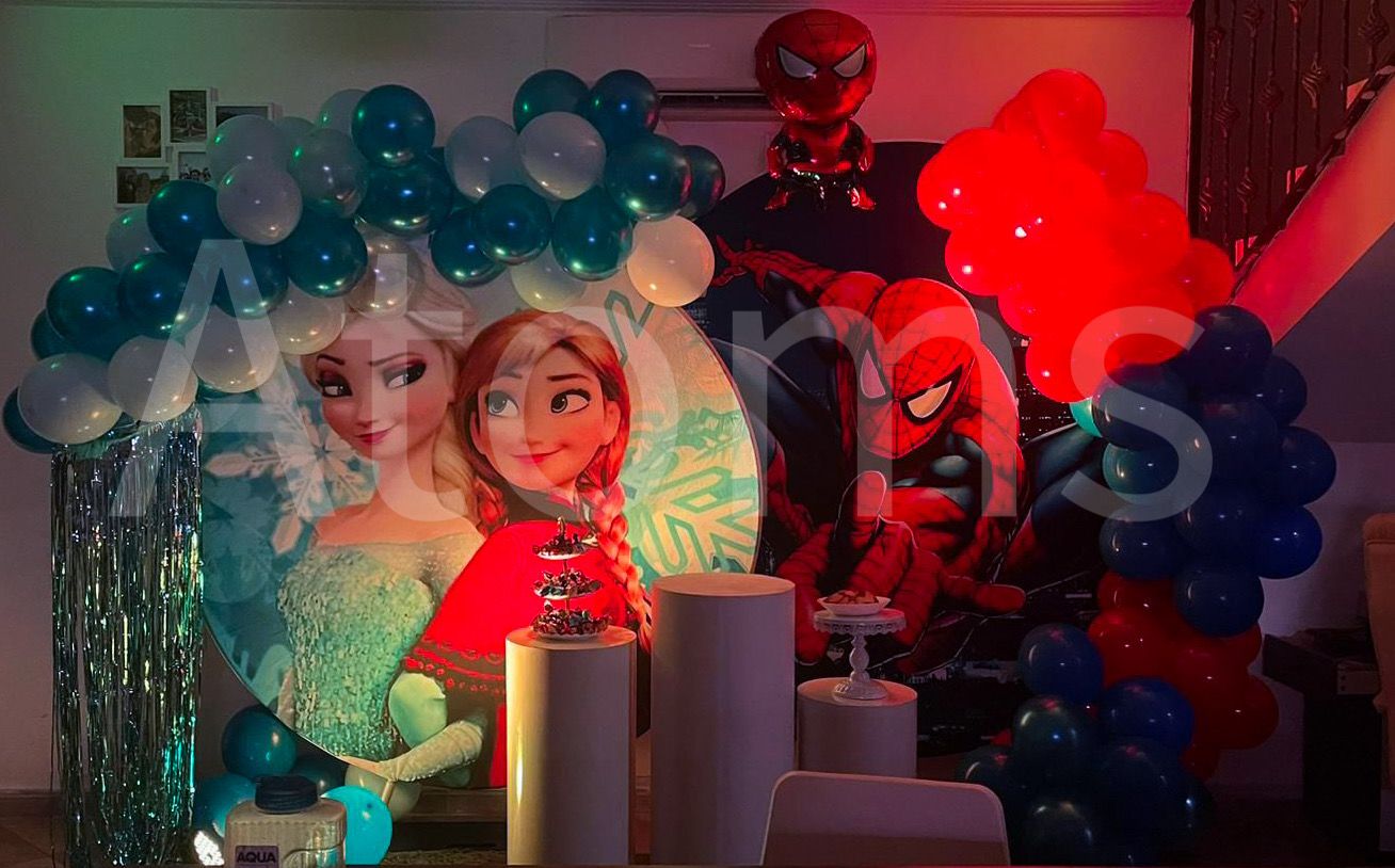 Frozen cum spiderman Theme