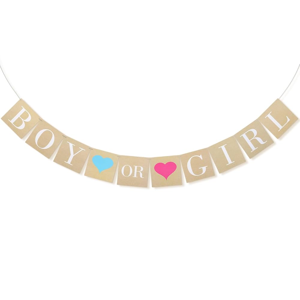 Boy or Girl Banner