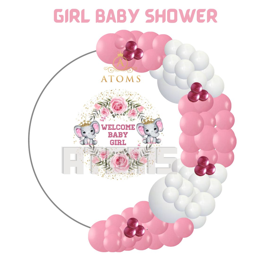 Girl Baby shower Setup