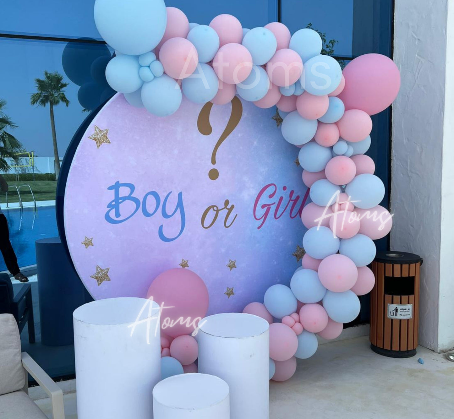 Gender Reveal Platinum Setup