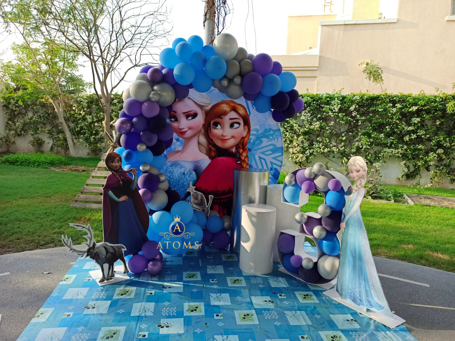 Frozen Theme Diamond Setup