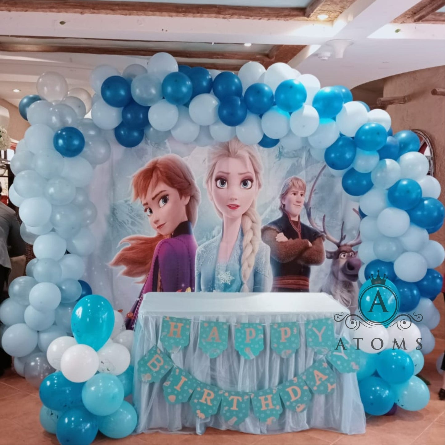 Frozen Theme Platinum Setup