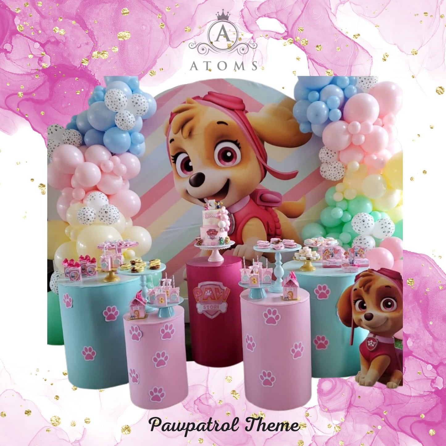 Paw Patrol Theme Diamond Setup