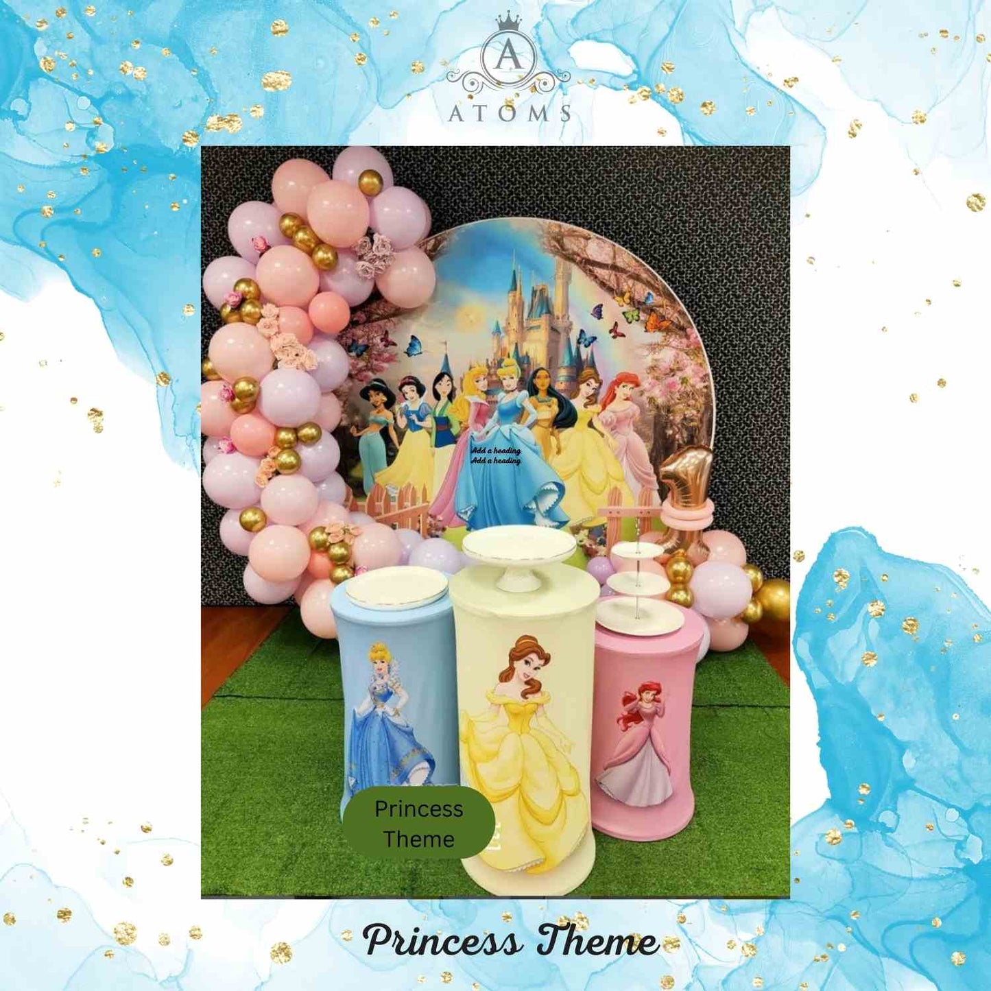 Princess Platinum Setup