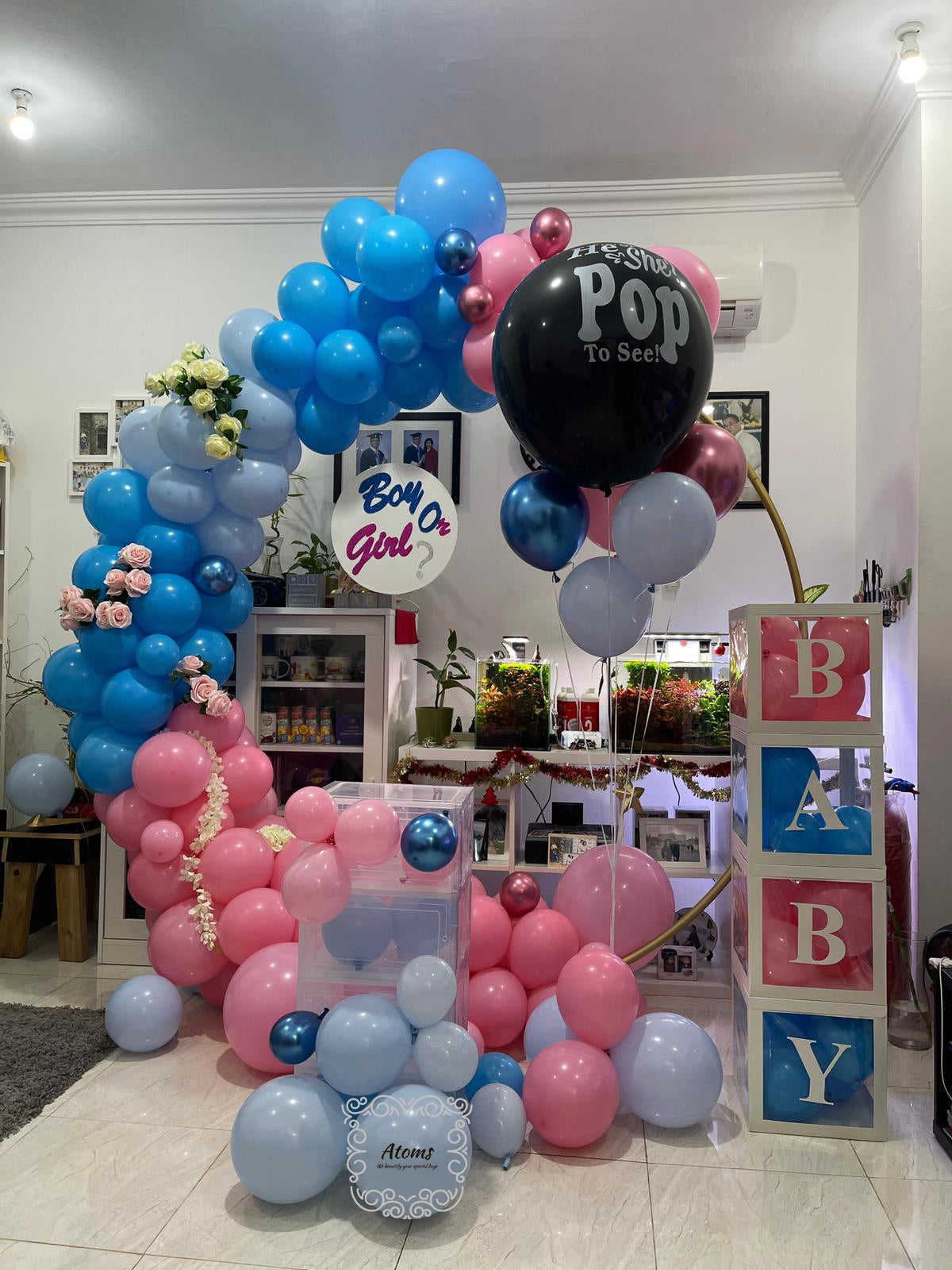 Gender Reveal Platinum Setup