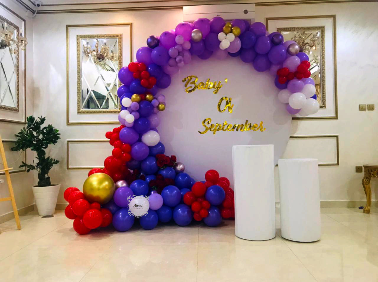 Purple & Red Platinum Setup