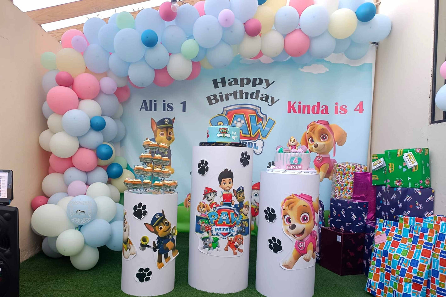 Paw patrol theme Platinum Setup