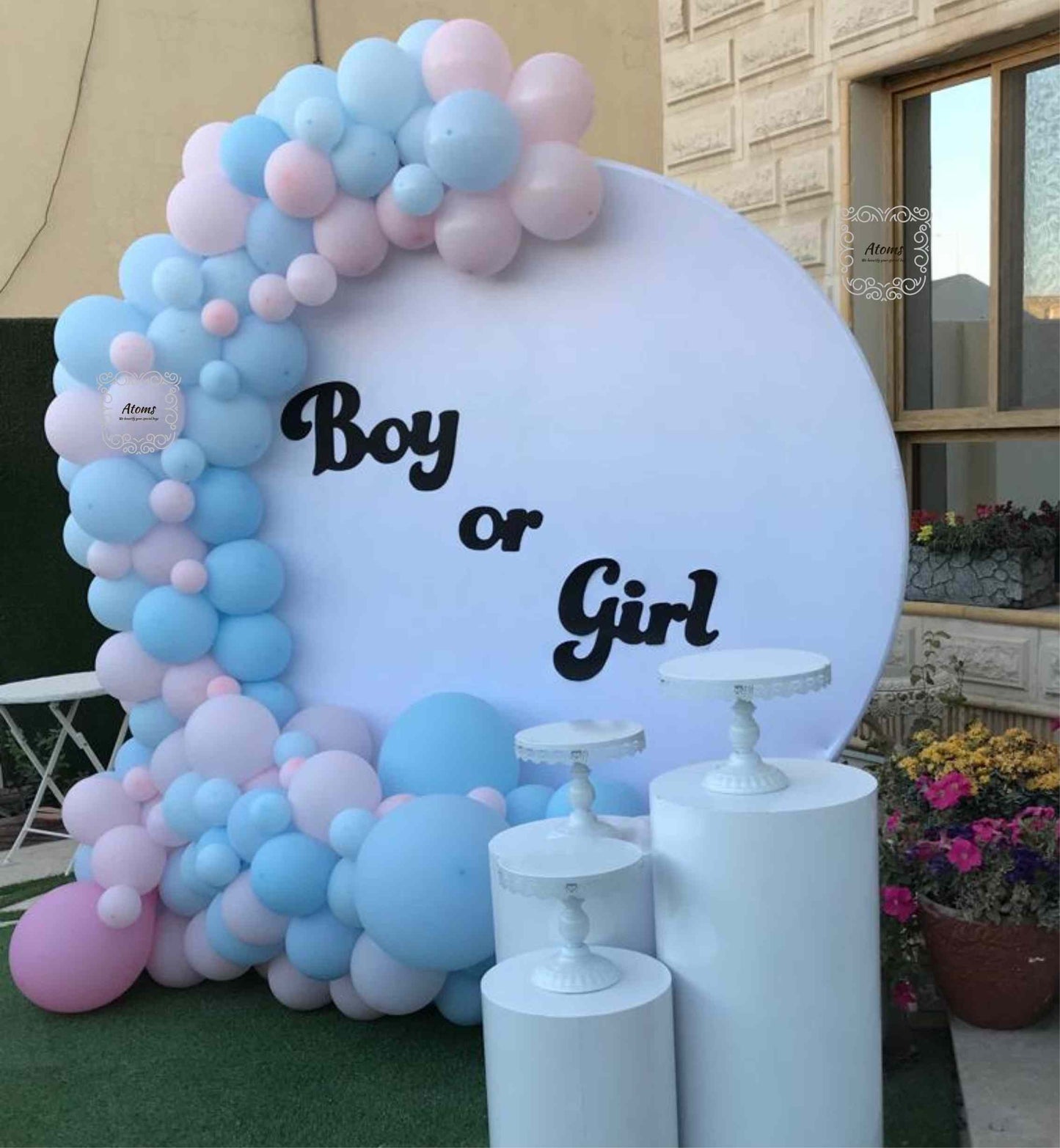 Gender Reveal Platinum Setup