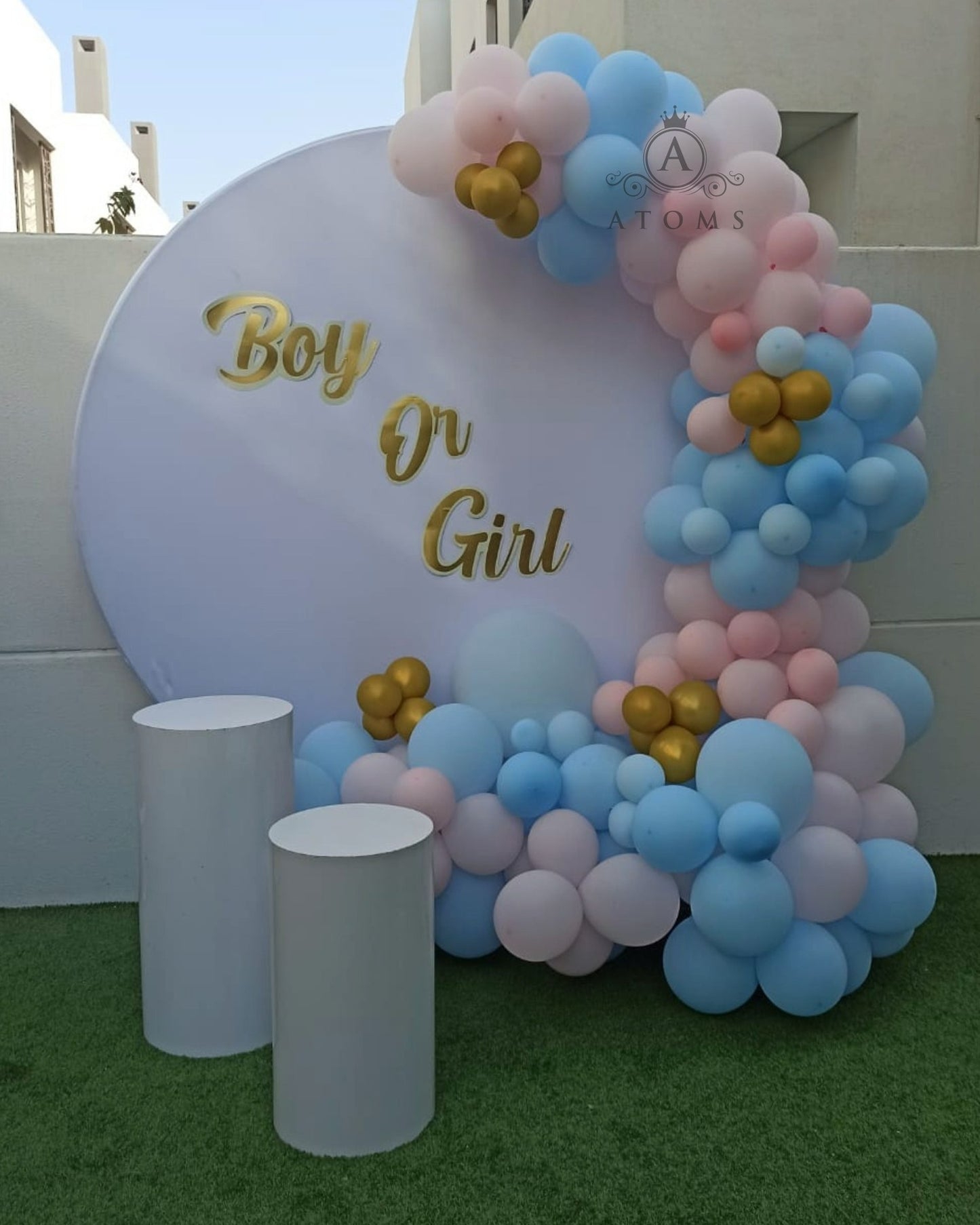 Gender Reveal Platinum Setup