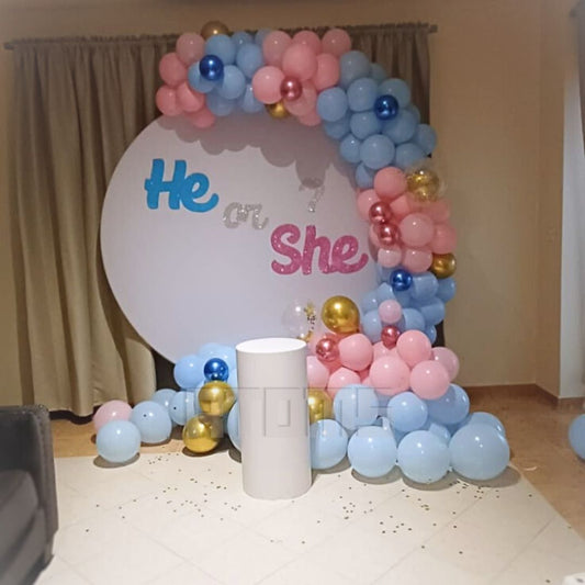 Gender Reveal Platinum Setup